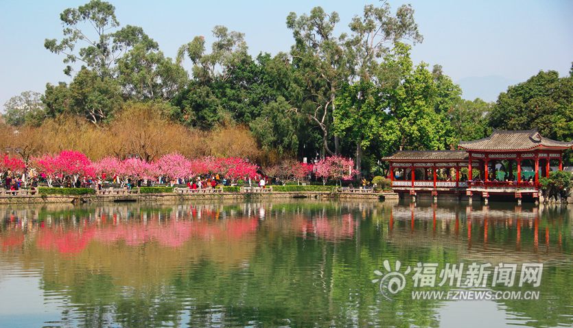 春風十里相迎　西湖桃花盛開醉游人
