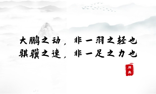 娓娓道來(lái)，品讀今年以來(lái)習(xí)近平引用的那些詩(shī)詞典故（三）