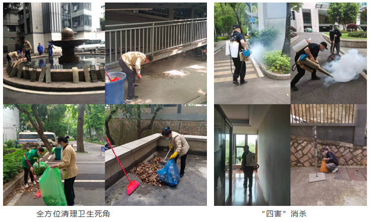 踐行綠色環保理念 我們在行動